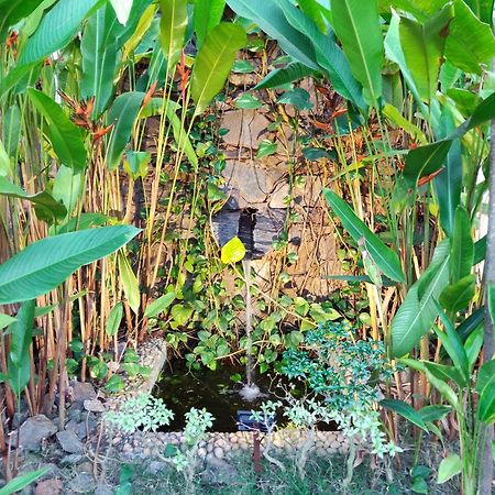 Rock Forest Goa Honeymoon Cottages Calangute Exterior photo